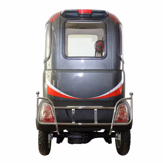 Hot Mini Electric Vehicle for Family Use Adult/ Elderly / Physically Handicapped