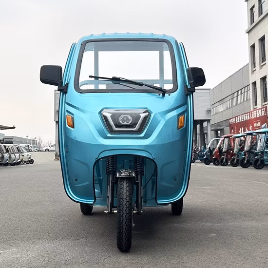 Veicolo per motociclette elettriche Triciclo a tre ruote per triciclo elettrico per adulti al miglior prezzo