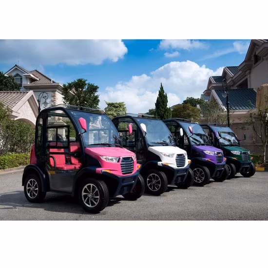 Autobus turistico elettrico golf batteria all'ingrosso passeggeri piccola auto elettrica mini auto 2 posti